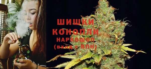 Альфа ПВП Белокуриха