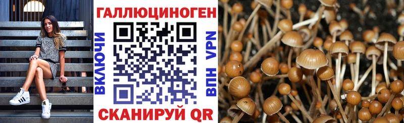 Галлюциногенные грибы MAGIC MUSHROOMS  купить закладку  Заречный 